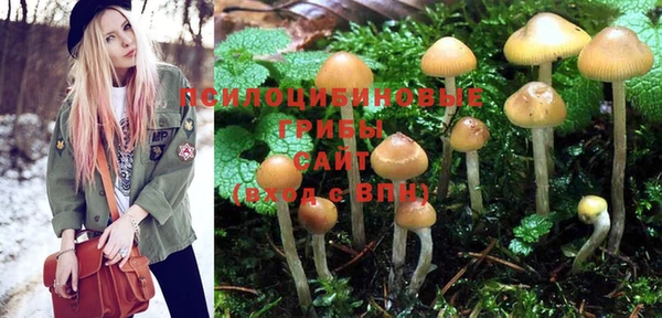 PSILOCYBIN Балабаново